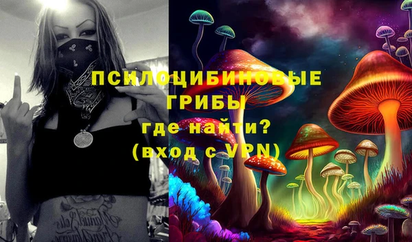 хмурый Белоозёрский