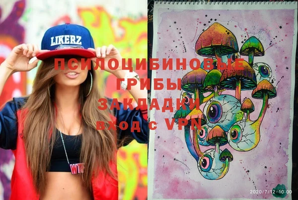 гашик Беломорск