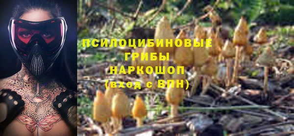 гашик Беломорск