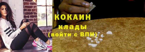 гашик Беломорск
