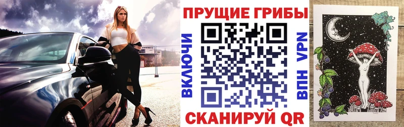 Псилоцибиновые грибы Cubensis  Будённовск 